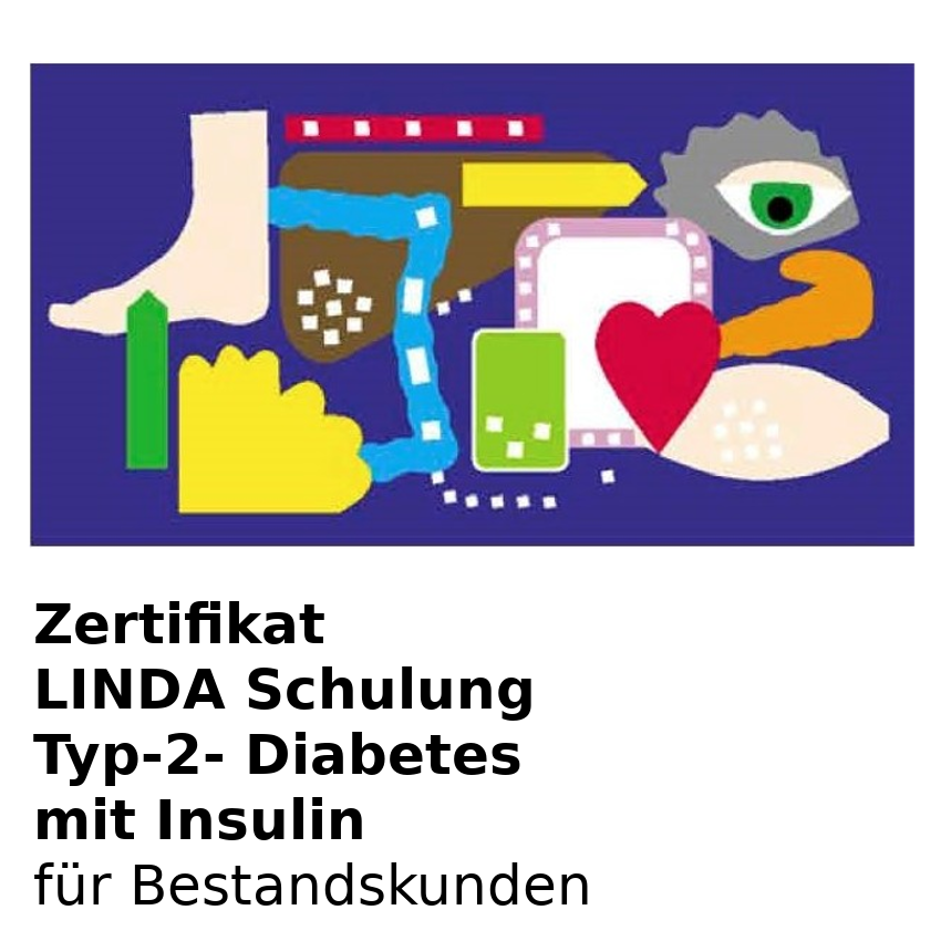 Zertifikat Linda Diabetes Schulung Typ 2 Mit Insulin Ct Bot Sit Online